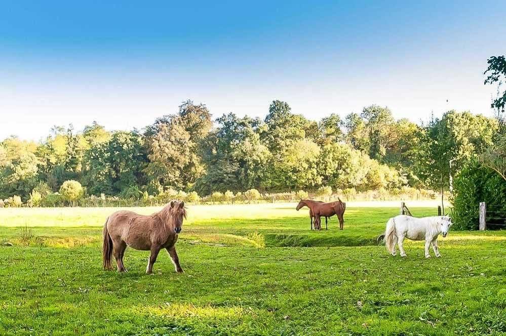 Le Clos Des Vignes Neuville-Bosc Eksteriør bilde